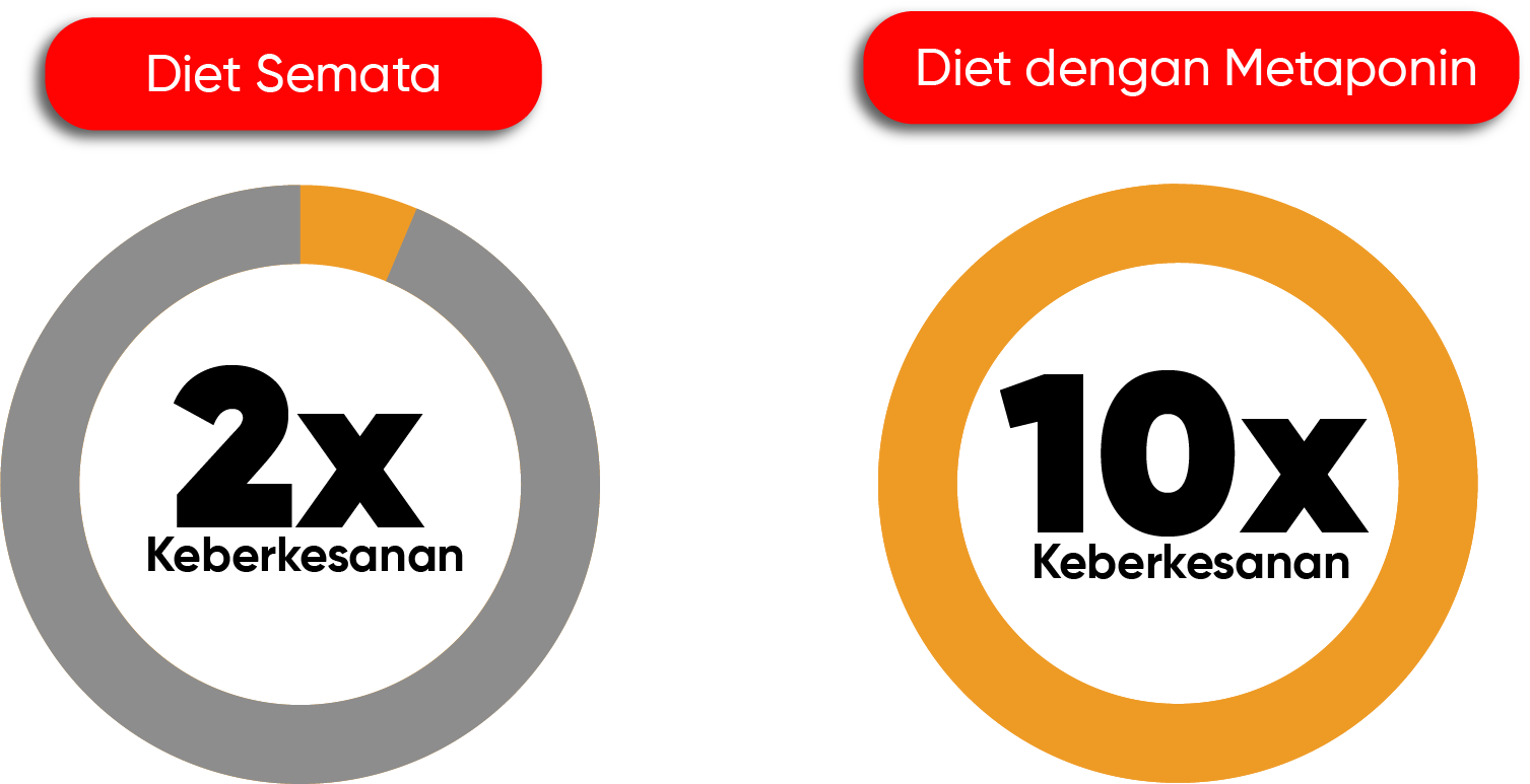 metaponin-diet-semata