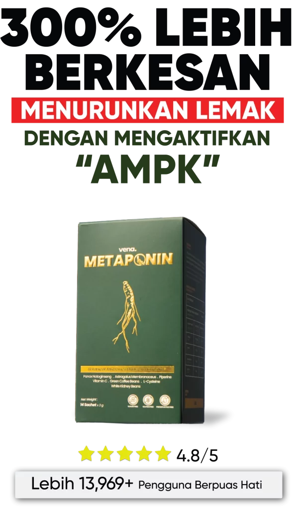Metaponin-Supplement-Kurus-AMPK