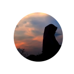 metaponin-pengguna-testimoni