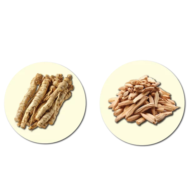 Metaponin-Bahan-Supplement-Kurus
